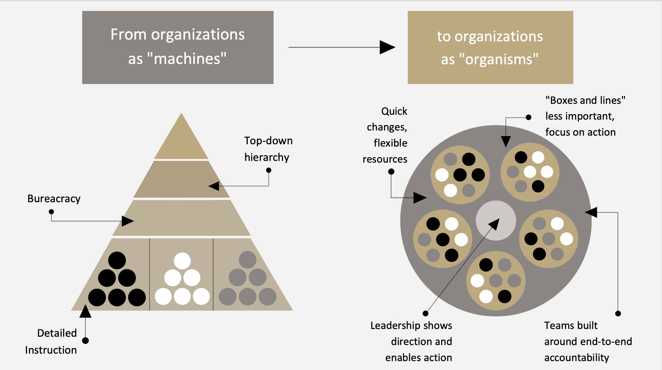 P1 Thailand — Organisational AI Transformation Framework